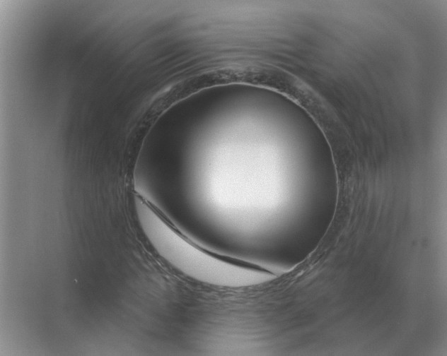 X0000070180822200606162119