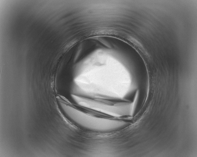 X0000070180841200606162120