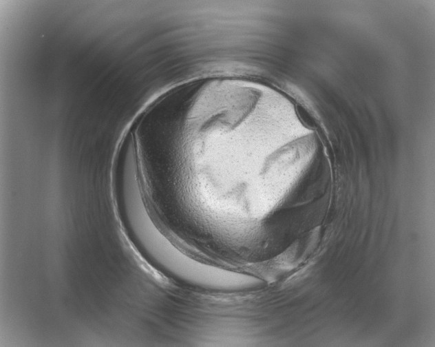 X0000070180843200606162120
