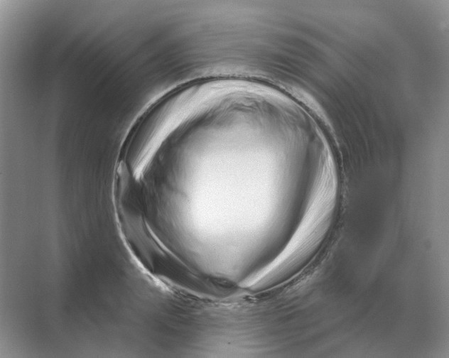 X0000070180847200606162120