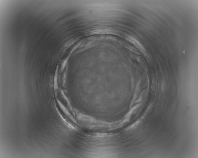 X0000070180849200606162120