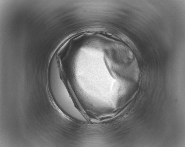 X0000070180852200606162120