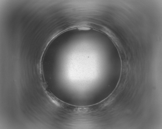 X0000070180858200606162120