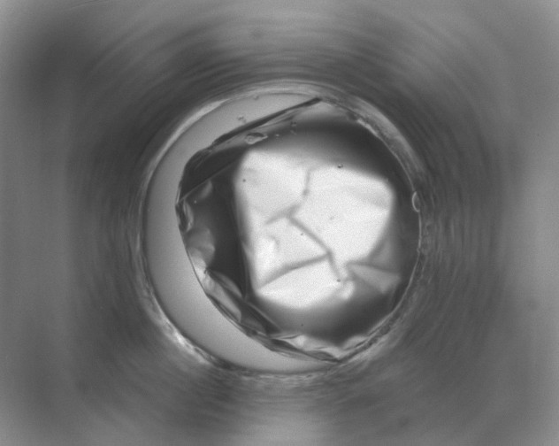 X0000070180860200606162120
