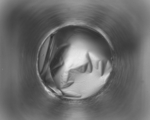 X0000070180861200606162120