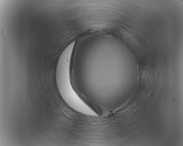 X0000070180868200606162119