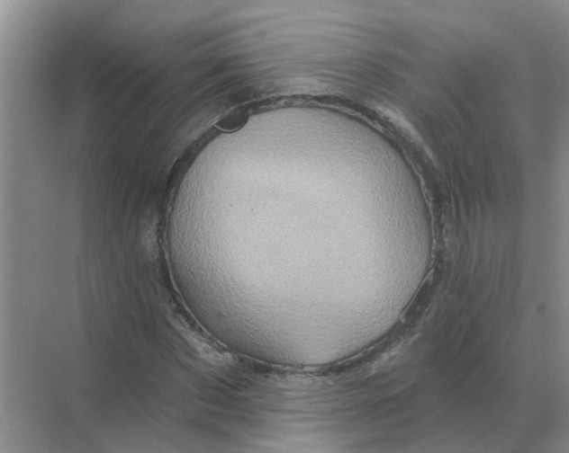 X0000070180873200606162119