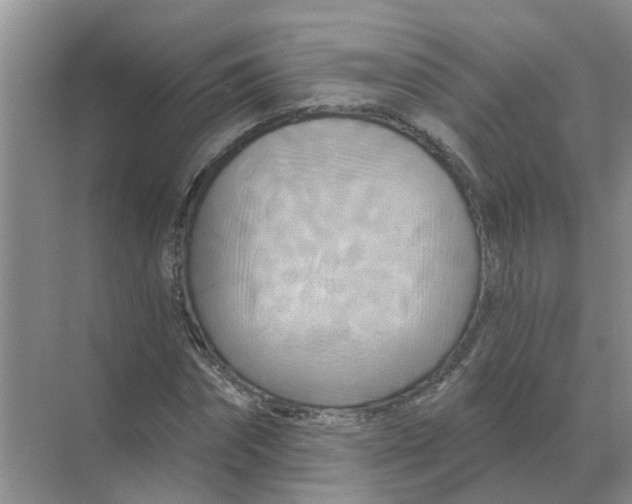 X0000070180874200606162119