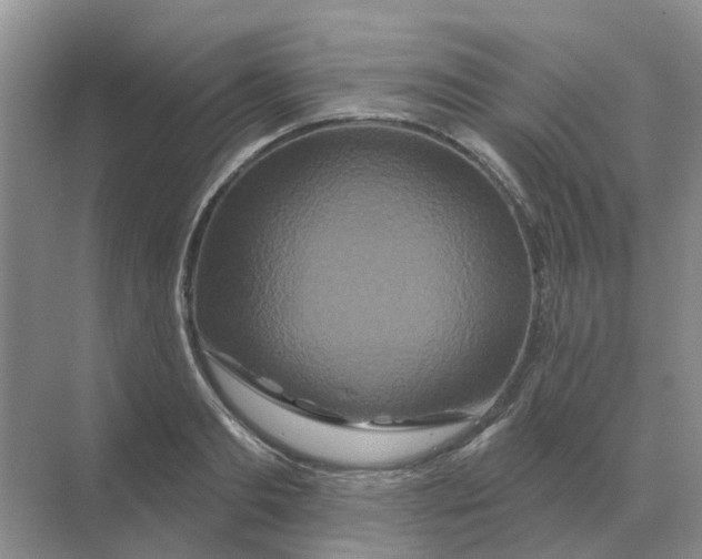 X0000070180893200606162119