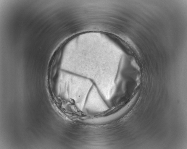 X0000070180896200606162119