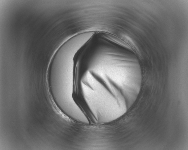 X0000070180900200606162119