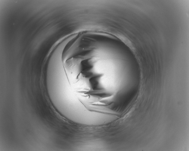 X0000070180912200606162119