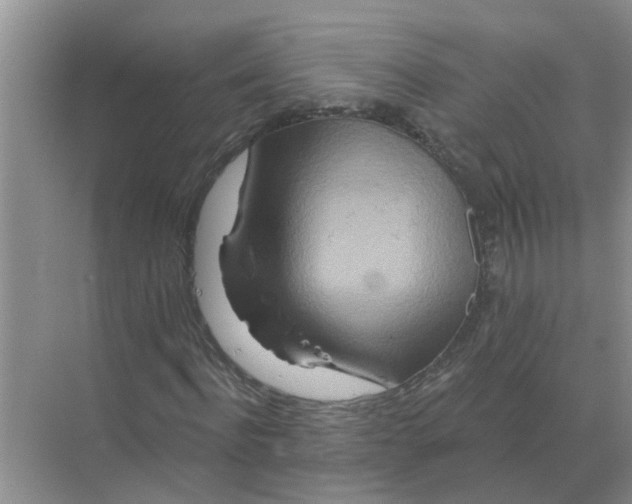 X0000070180916200606162118