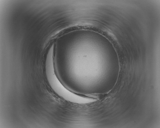 X0000070180920200606162118