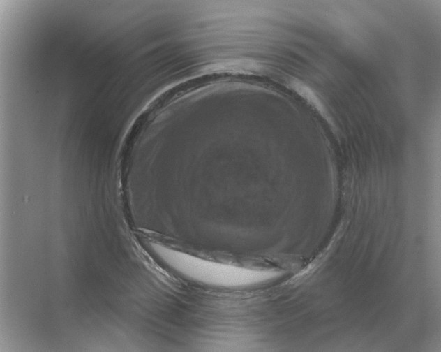 X0000070180923200606162118
