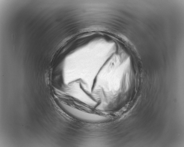 X0000070180929200606162118
