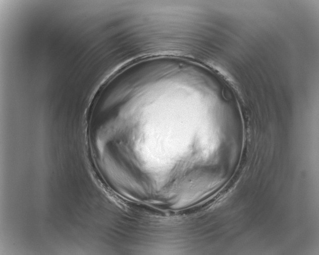 X0000070180933200606162118