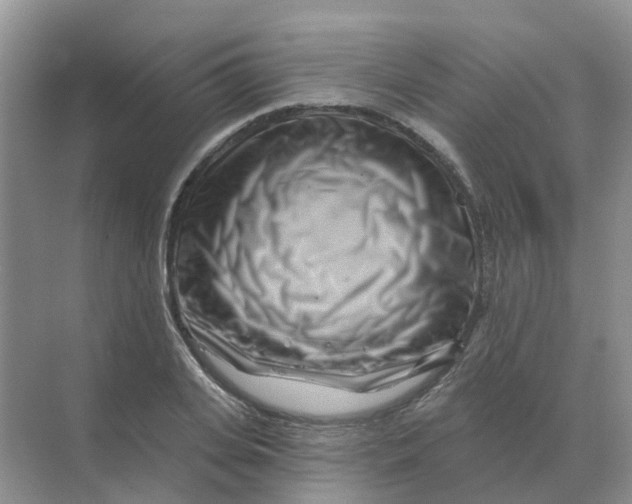 X0000070180935200606162118