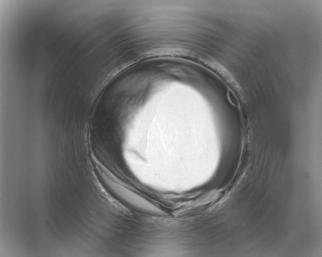 X0000070180937200606162118