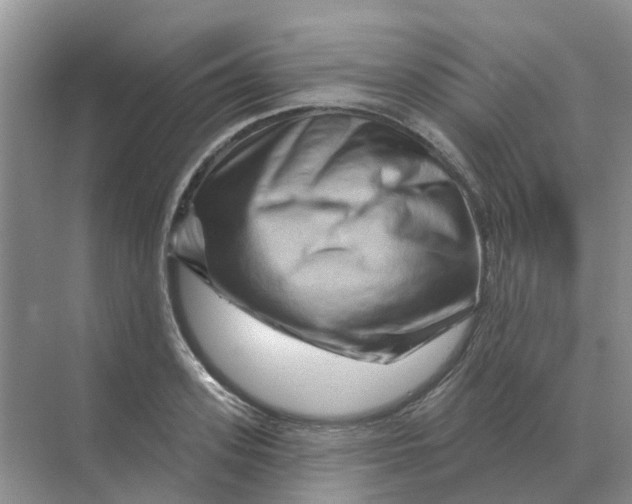 X0000070180939200606162118