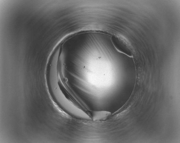 X0000070180942200606162118