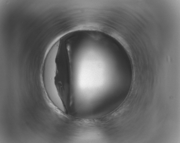 X0000070180960200606162118