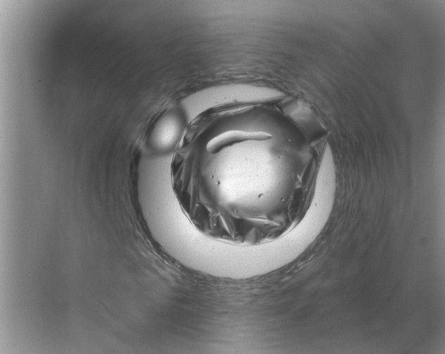 X0000070180961200606162118