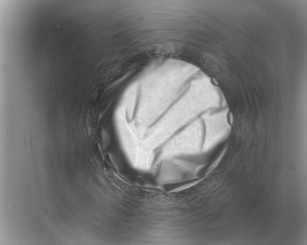 X0000070180962200606162118