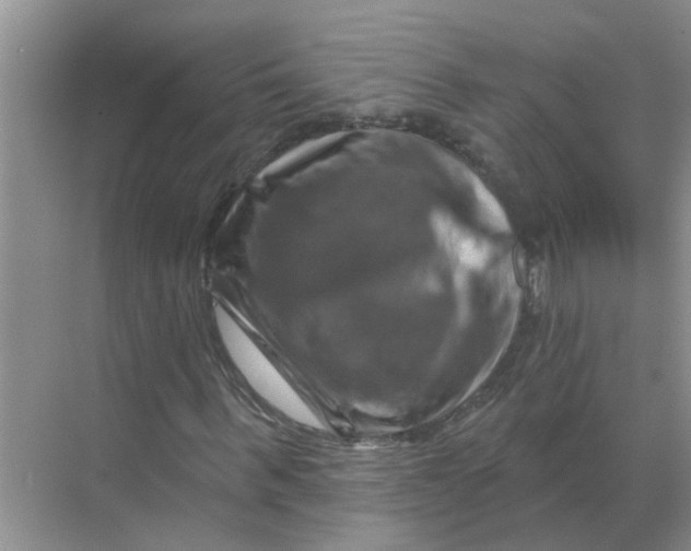 X0000070180963200606162118