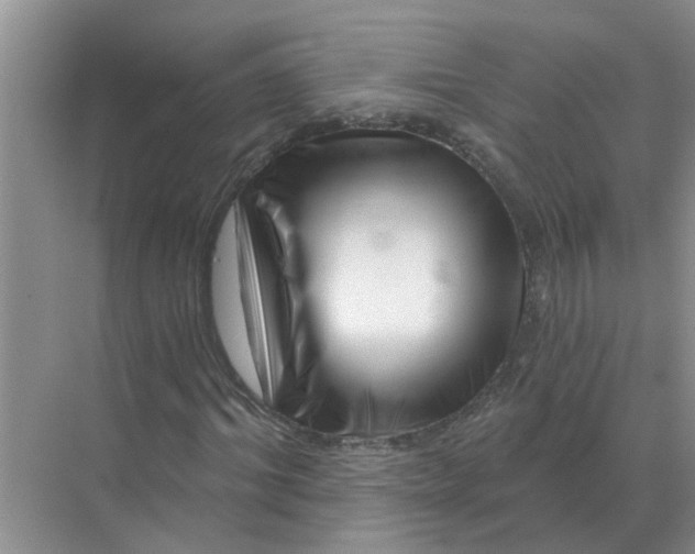 X0000070180964200606162118
