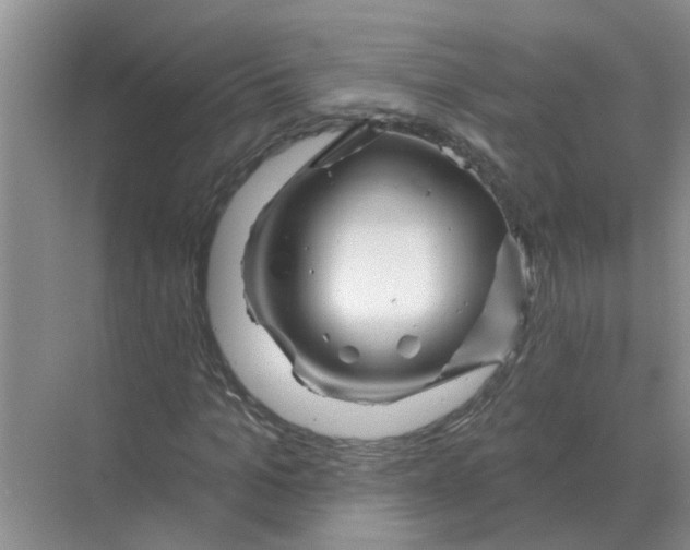 X0000070180965200606162118