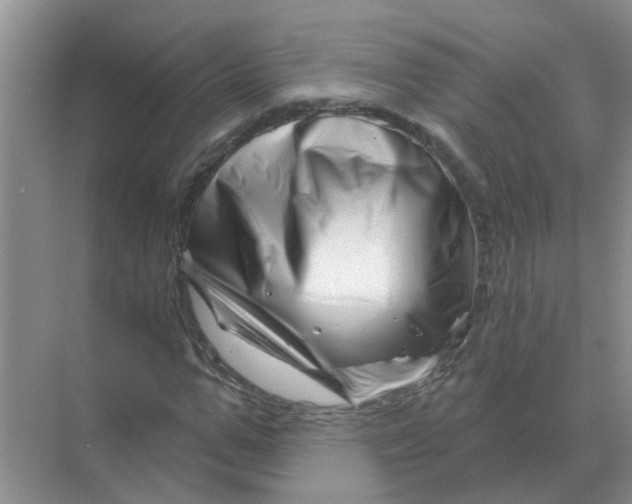 X0000070180967200606162118