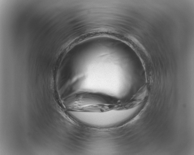 X0000070180969200606162118