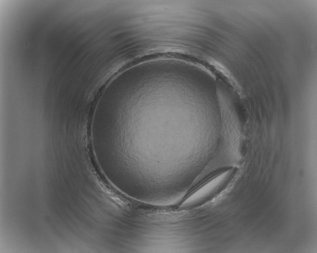 X0000070180977200606162117