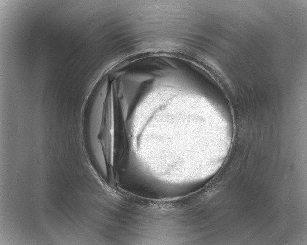 X0000070180978200606162117