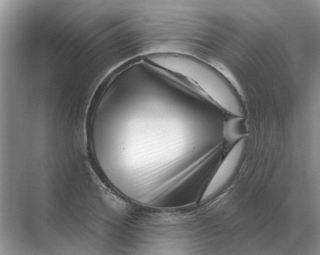X0000070180980200606162117