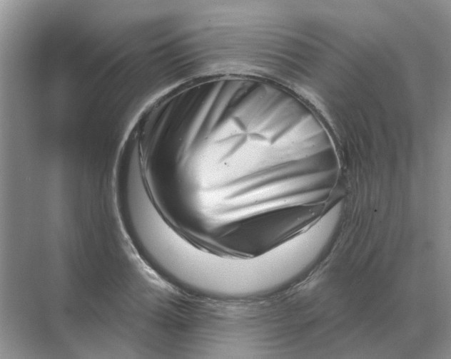 X0000070180987200606162117