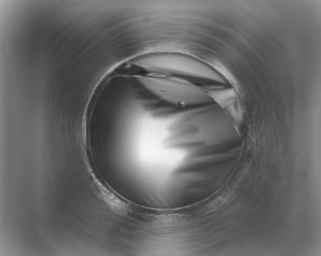 X0000070180988200606162117