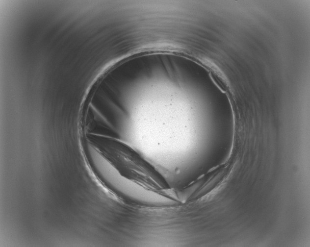 X0000070180989200606162117
