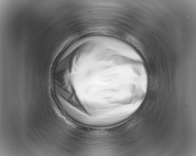 X0000070180994200606162117