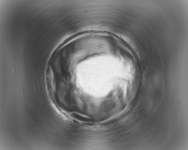 X0000070180998200606162117