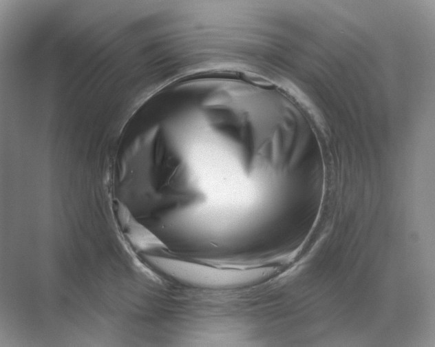 X0000070181001200606162117