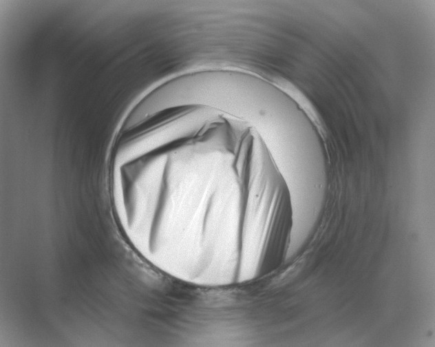 X0000070181004200606162117