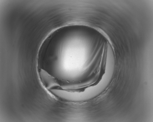 X0000070181005200606162117