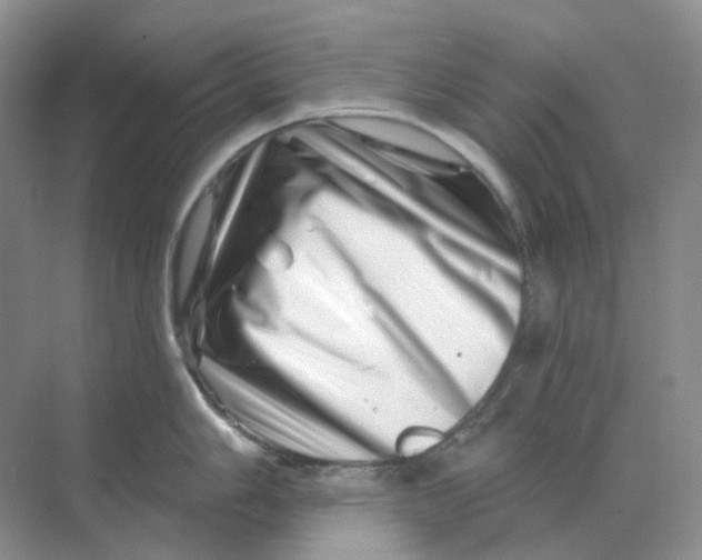 X0000070181006200606162117
