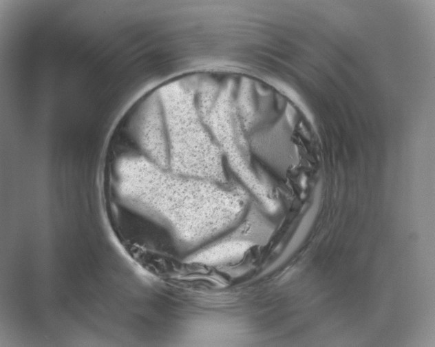 X0000070181007200606162117