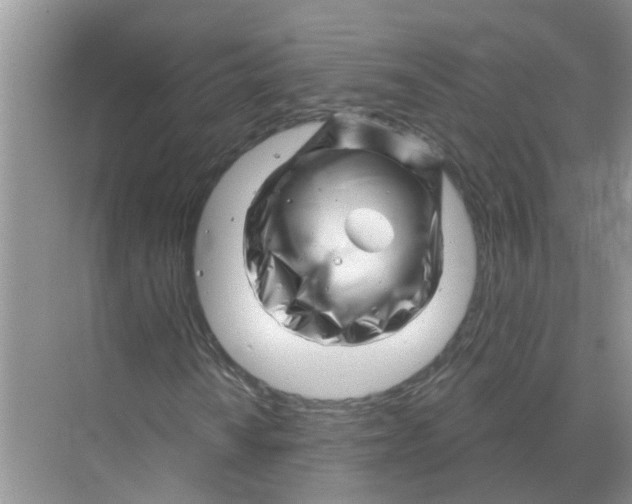 X0000070181010200606162116