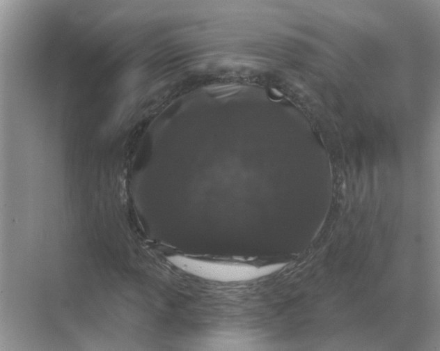X0000070181013200606162116