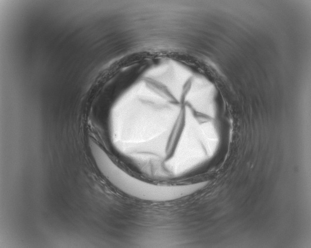 X0000070181016200606162116
