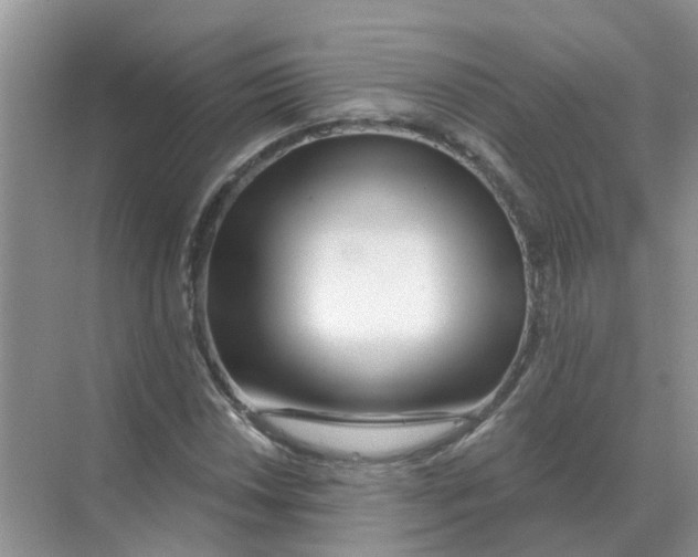 X0000070181018200606162116